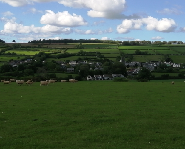 Rural areas ‘in crisis’ according to new report